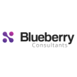 Blueberry Consultants